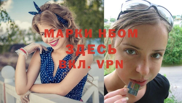 apvp Алексин
